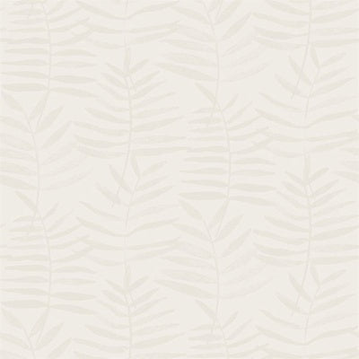 Papel de Parede | Delicate Fern