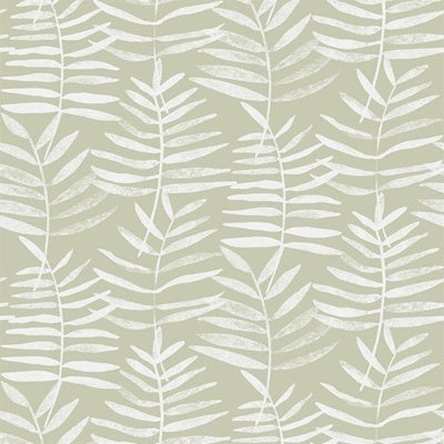 Papel de Parede | Delicate Fern