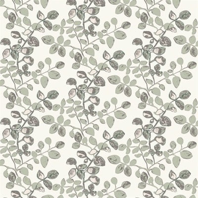 Papel de Parede | Whispering Branch
